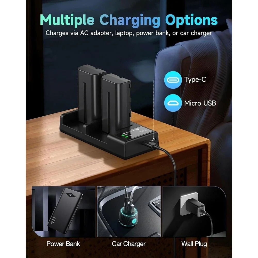 FirstPower NP-F550 Battery 2-Pack and USB Dual Slot Charger Compatible with Sony